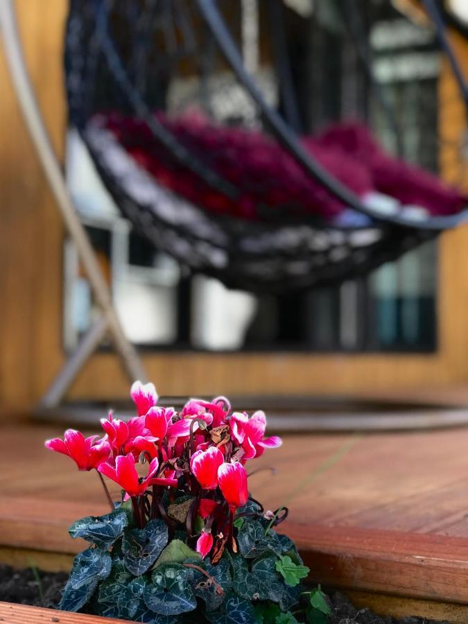 Onehunga Garden Tinyhouse With Parking Hotel Auckland Ngoại thất bức ảnh